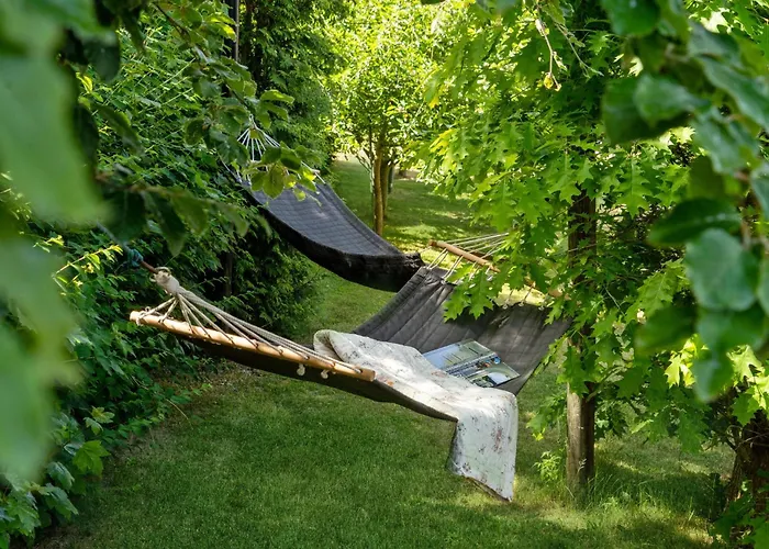 Front In With Wifi * Mesinge